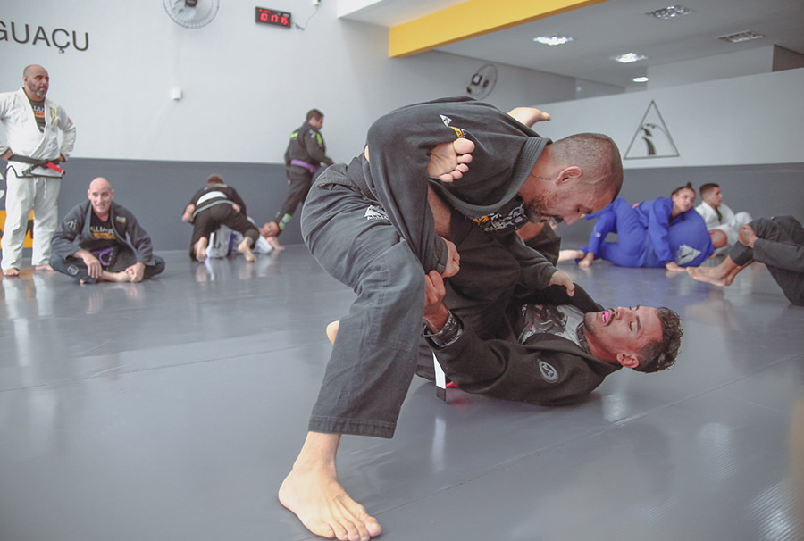 Alliance Jiu Jitsu Mogi Guaçu - Programa para Competição